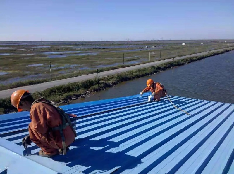 大峪镇钢结构屋面漏水原因